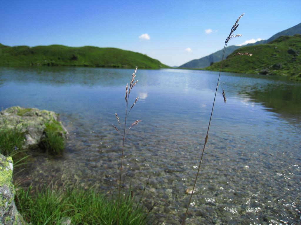 Maurerhof Itter Villa Bagian luar foto